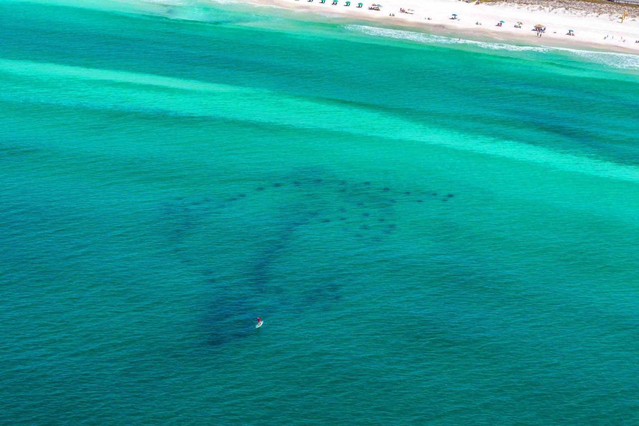 Seascape Lakefront Villas 121- Uncorked Destin Eksteriør bilde